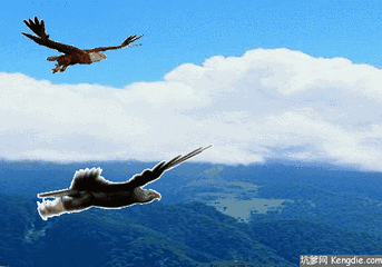 如果你想像雄鹰一样翱翔天空,那你就要和群鹰一起飞翔,而不要与燕雀