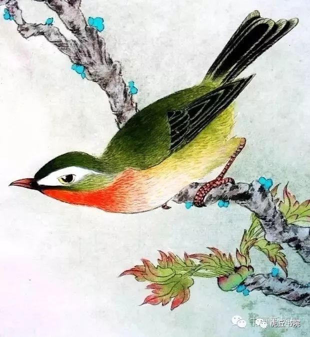 一组工笔画中的小鸟漂亮极啦