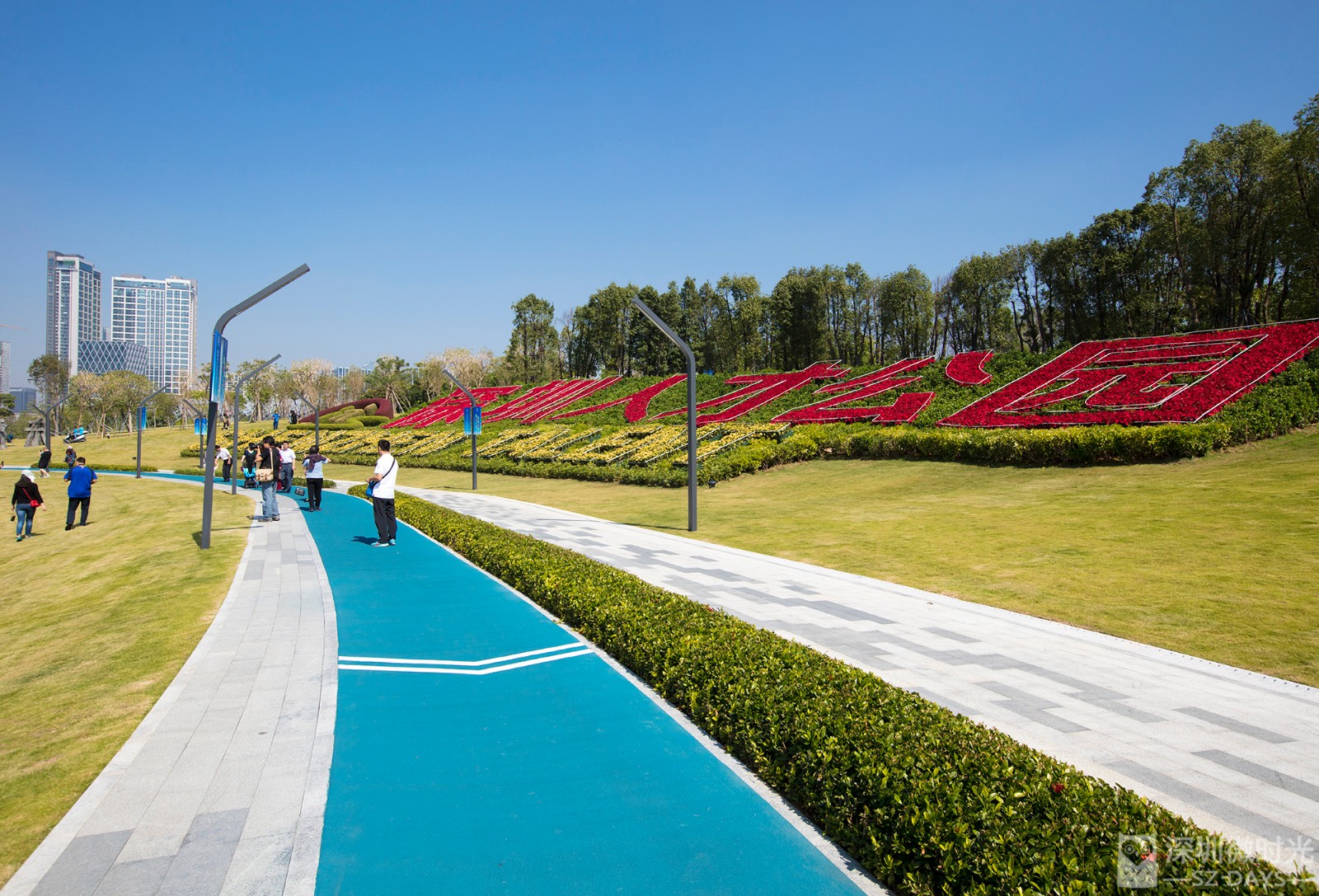 不止蘆葦蕩,星光橋…深圳人才公園的美,你可能只領略過50%