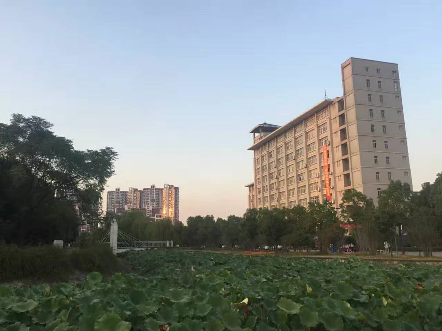 武汉东湖学院坐落在汤逊湖畔的最美大学