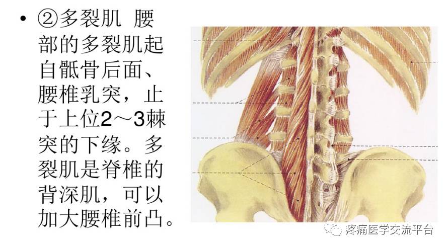 (针刀篇)腰骶部针刀治疗