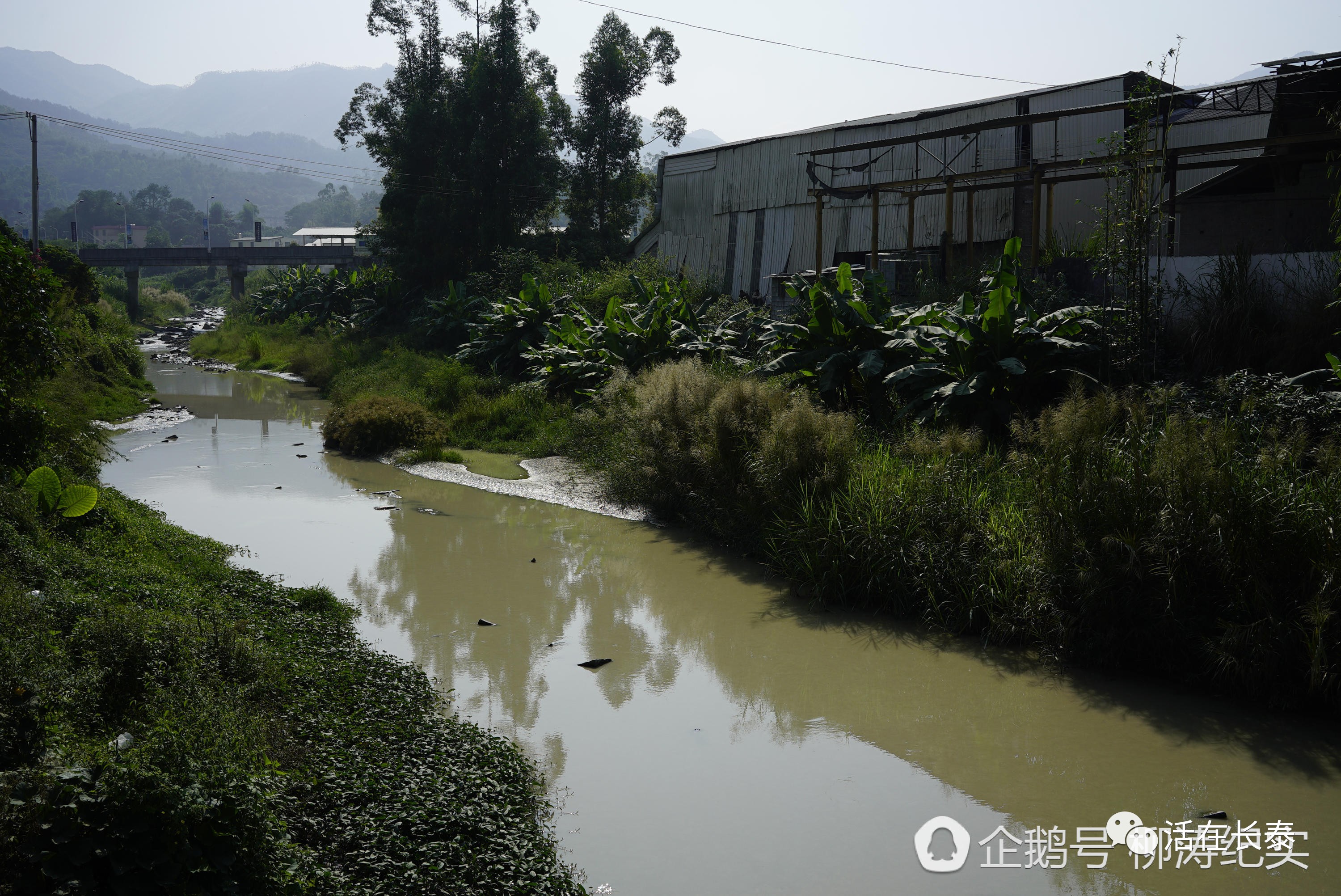 角長泰林墩村石板廠在焚燒垃圾吳田山的林墩村——吳田山地處福建漳州