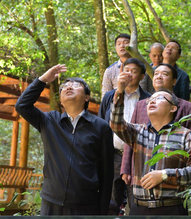 处长陆雄峰向杨司长详细讲解黄桑保护区管理处管护情况及地域民俗文化