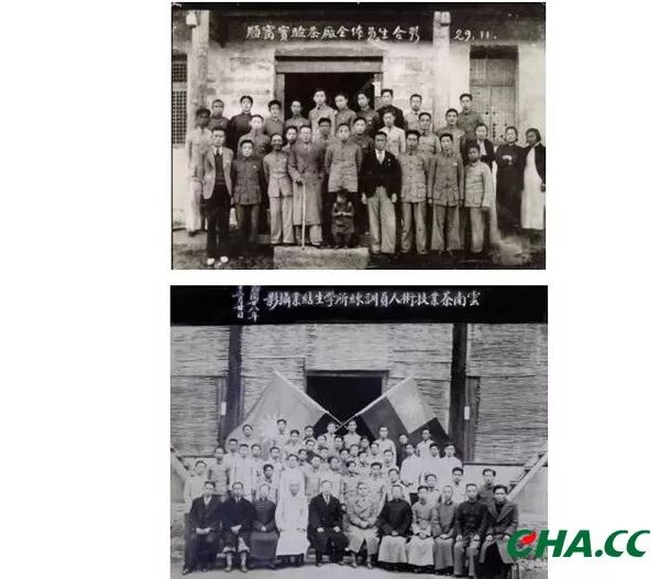 (图为:1938年9月,中茶公司派郑鹤春,冯绍裘来云南考察.10月到凤庆)