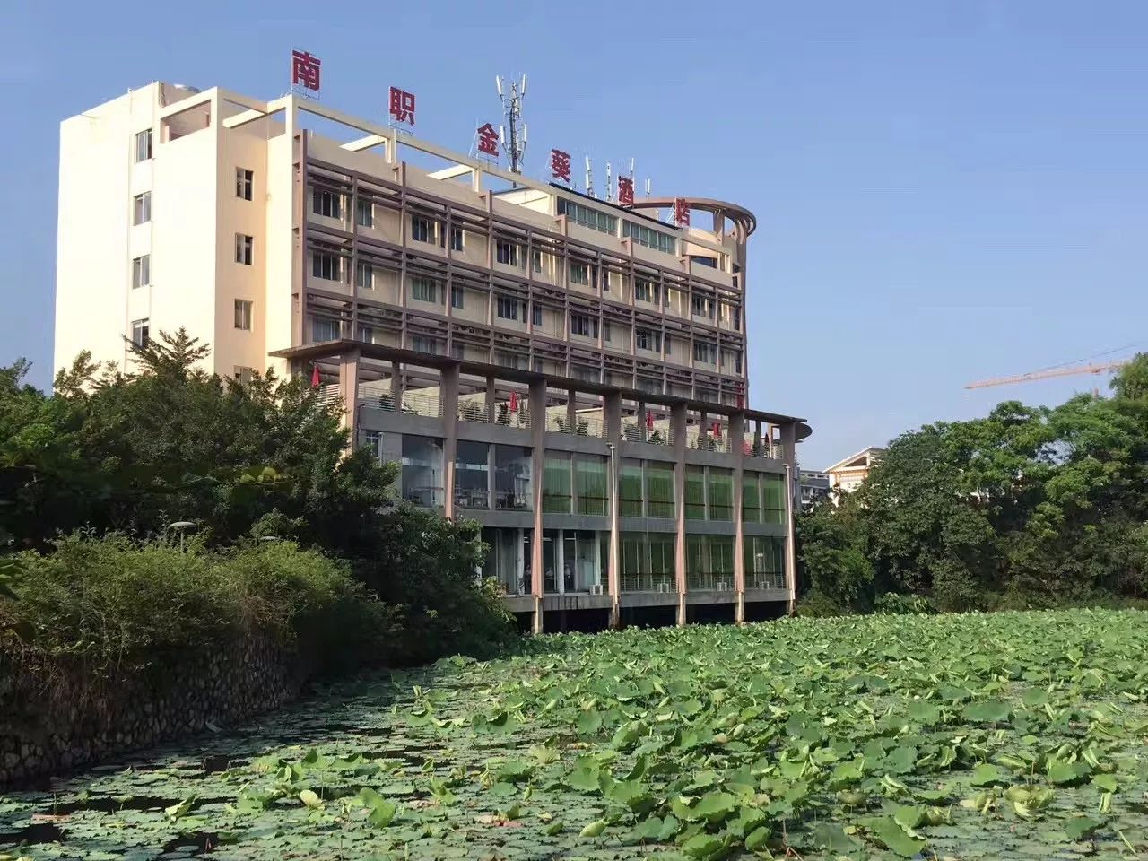 广西南职院校图片