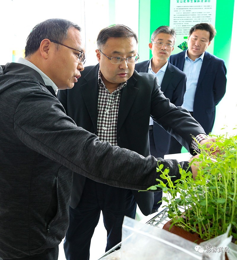 iuia西海岸生态农业国际创新中心在宝山镇启动了