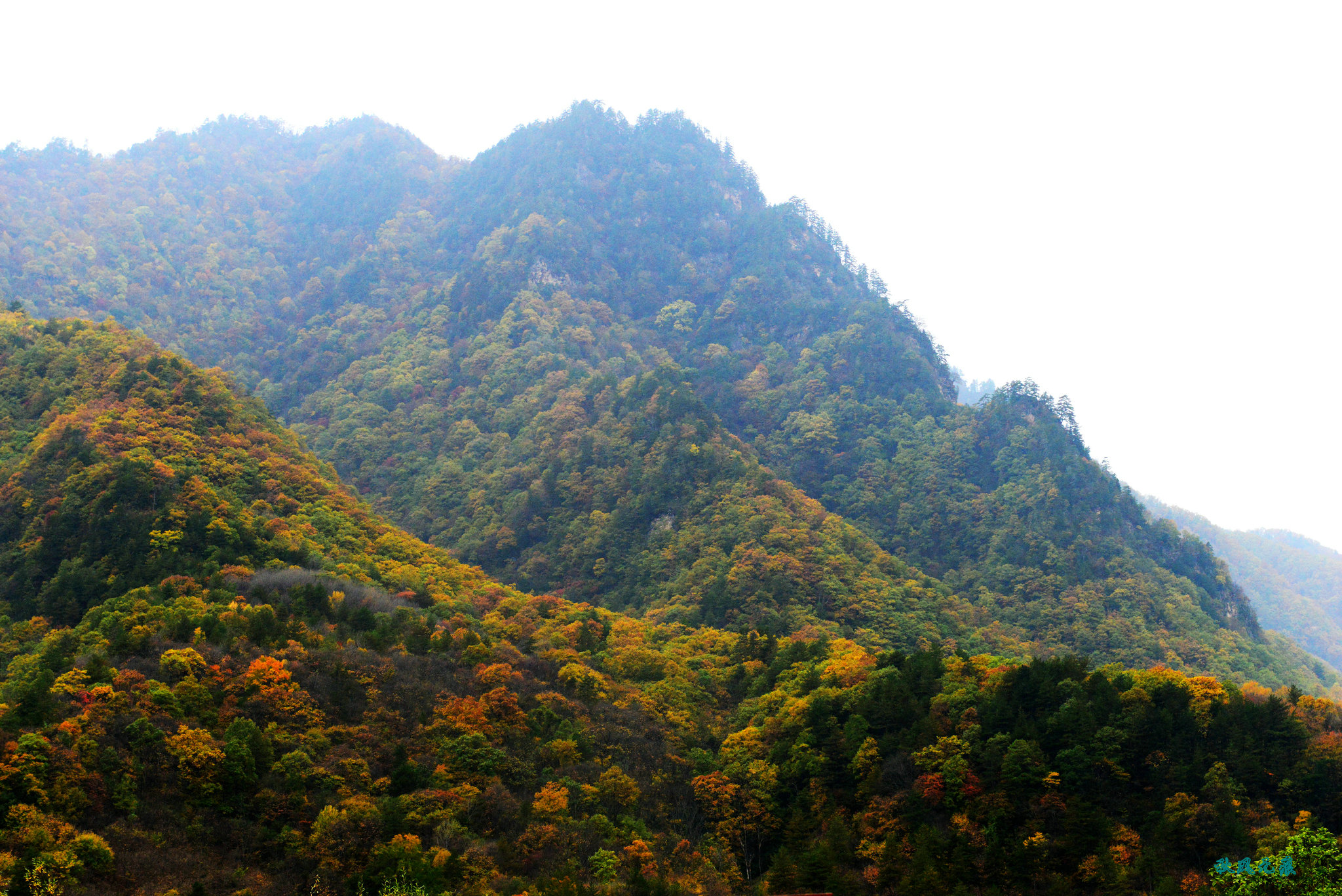 醉美五彩黃柏塬走過秋雨裡的秦嶺腹地