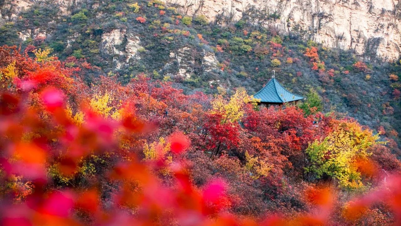 找一家民宿大屏團戰王者榮耀這才是屬於年輕人的高逼格團建