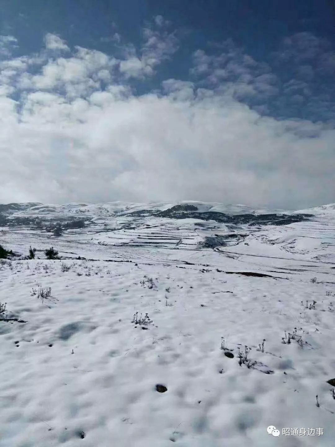 昭通大山包下雪的图片图片
