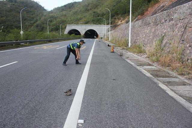 假設二:路面石頭比較大