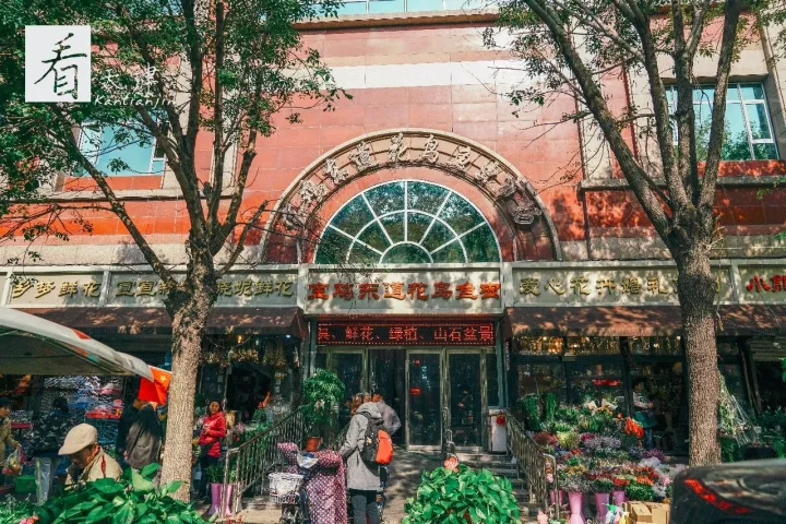 實拍天津寶雞道花鳥魚蟲市場包羅萬象細逛了一番真心很美