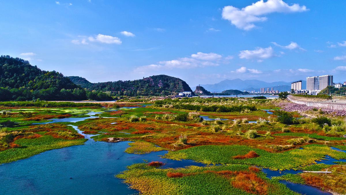 浙江仙居 永安溪湿地公园 大自然调色板