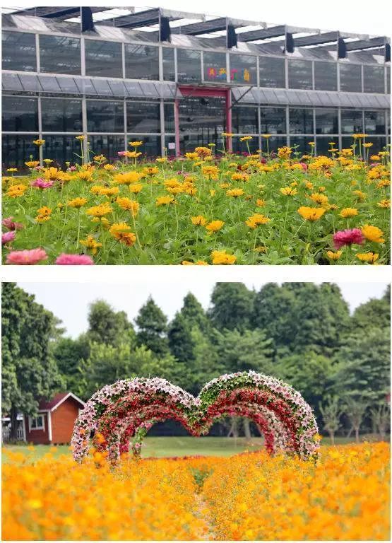 剩下300份￥399秒殺佛山夢裡水鄉百花園2大1小親子套票