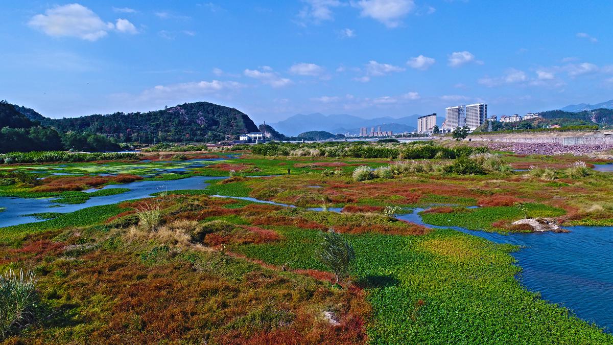 浙江仙居 永安溪湿地公园 大自然调色板