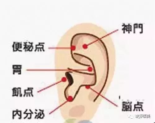 定位:耳朵三角窝中三分之一的下部,也