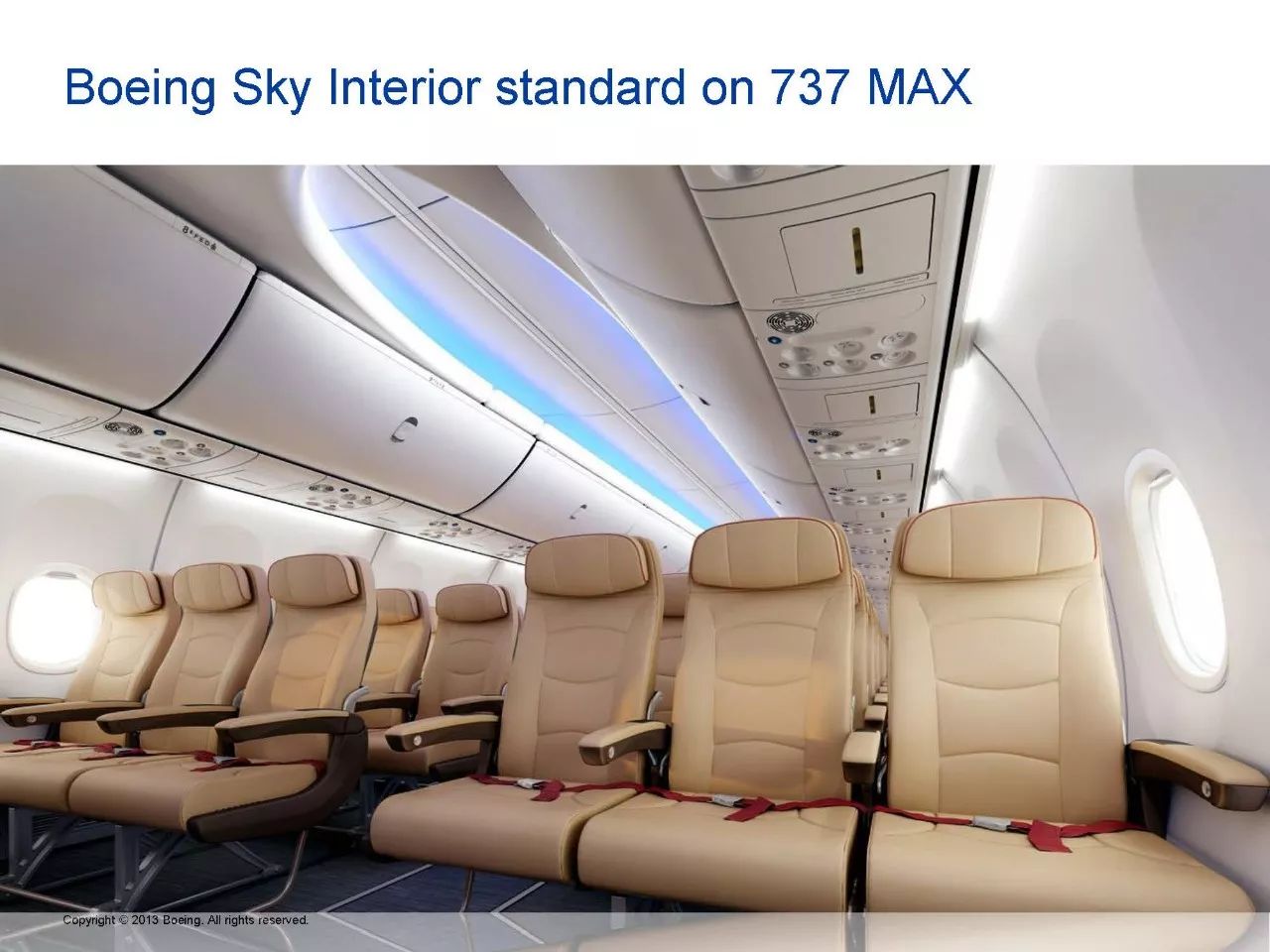 737max座舱图图片