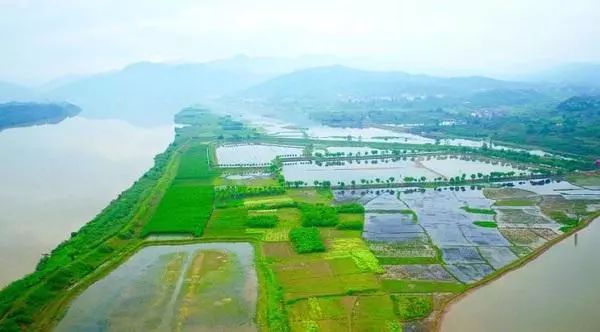 同意我市建立浙江蘭溪蘭江省級溼地公園和浙江永康石柱省級溼地公園