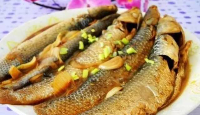 每天認識一種魚45梭魚食用開凌梭鮮得沒法說