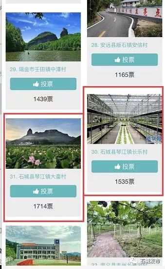 【全民投票】为石城最美县城,最美圩镇,最美村庄投上您宝贵的一票!