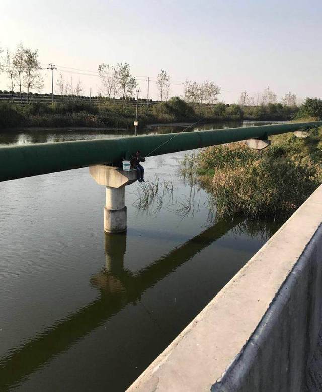 农村排水渠都是硬壳鱼没法吃村民钓到全埋土里