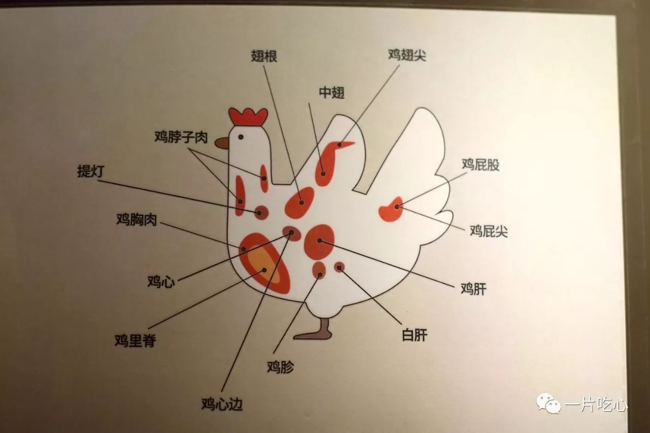 眼下韩师傅正在开发鸡身上更加稀少的部位:烤鸡冠,炒鸡肠,白子,鸡腰