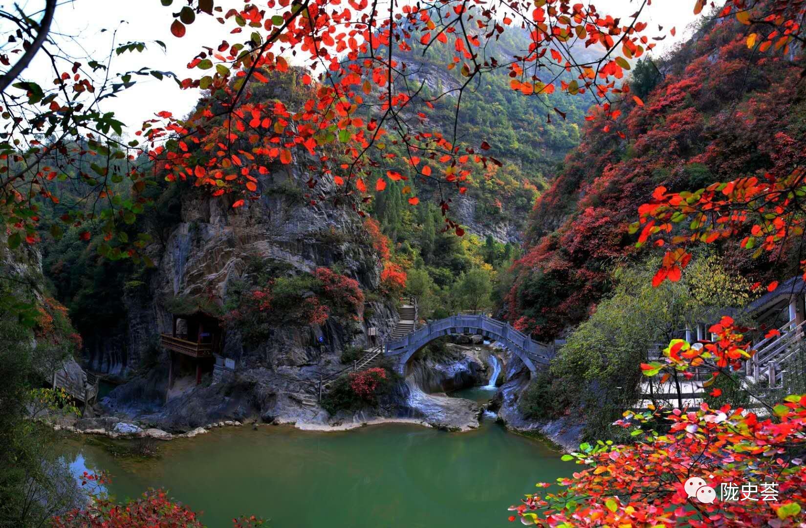 成县网红景点图片