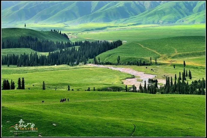 那拉提空中草原魅力新疆