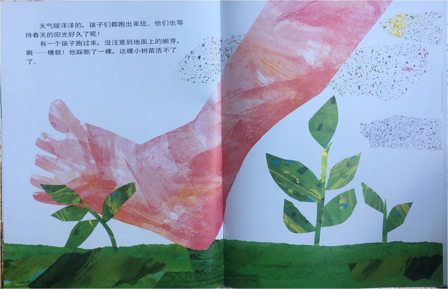 林老师说绘本小种子每日一荐