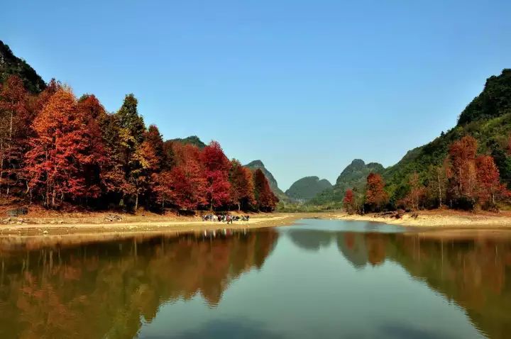 柳州红茶沟森林公园图片