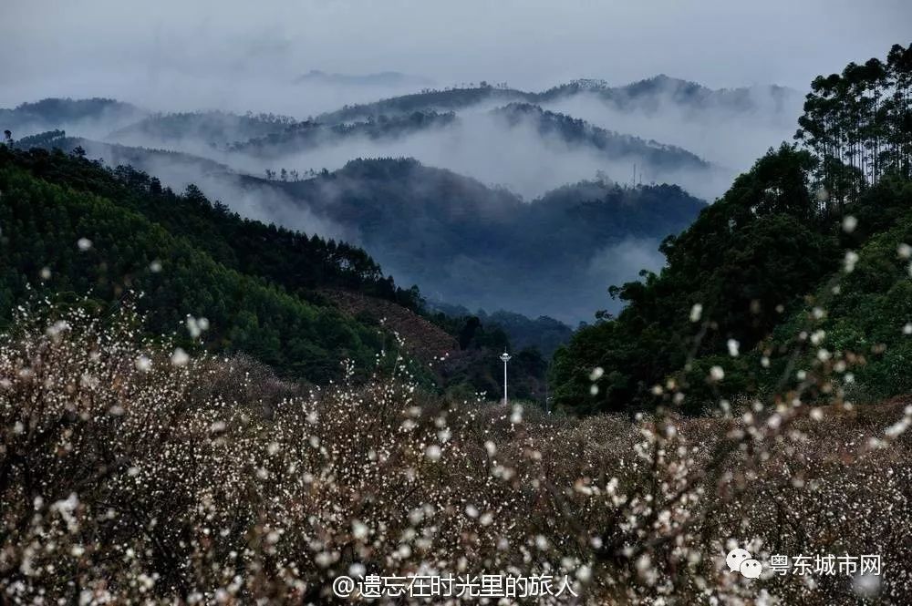 【航拍】粤东 · 普宁新八景