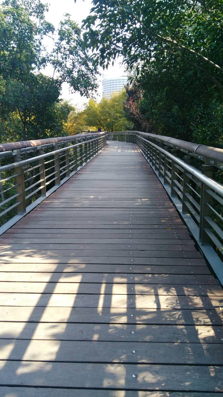 生態棧橋濟南泉城公園最出彩的風光