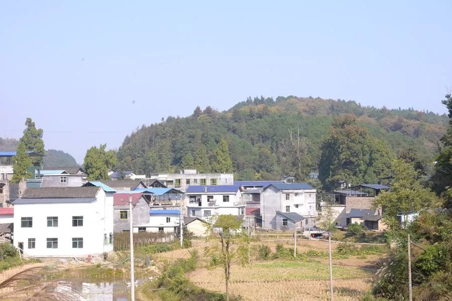 路良村距離大龍鎮政府所在地10公里,主導產業以農業,養殖業為主,有村