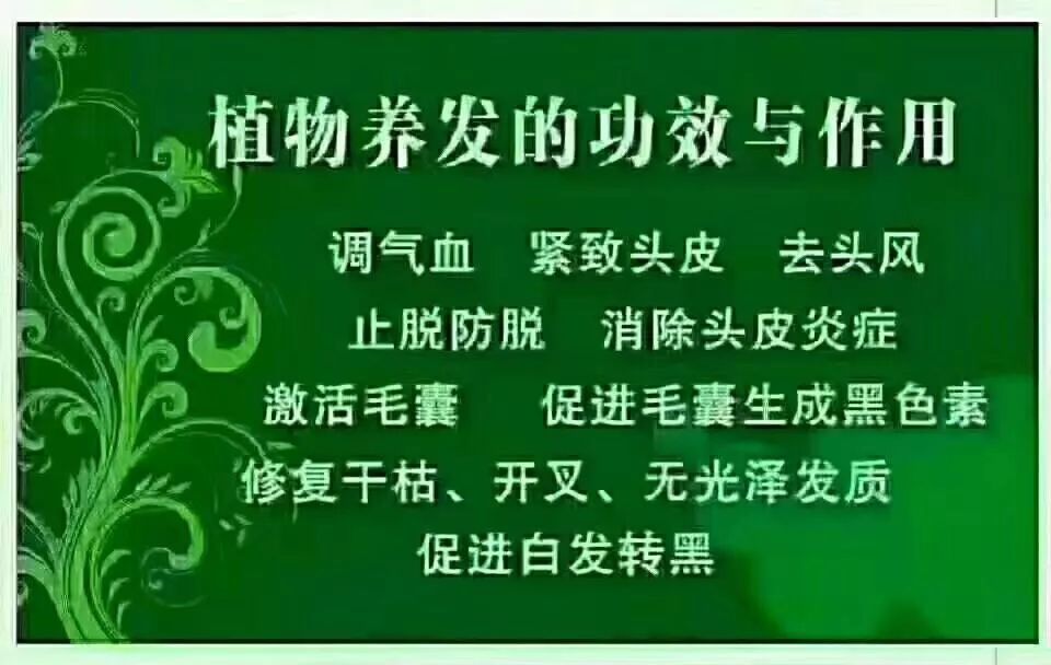 波斯坦植物养发哈哈哈