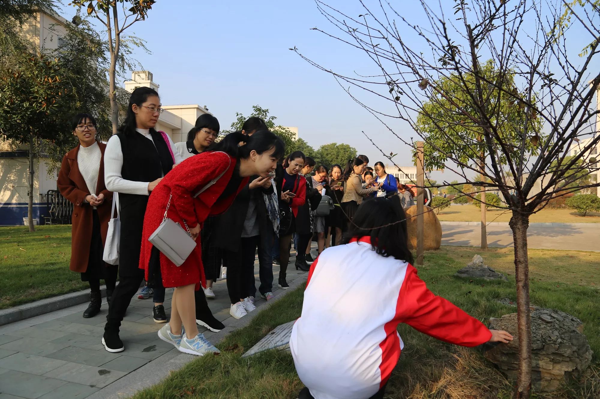 黄岩澄江中学校园文化图片