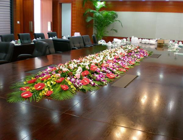 会议室花盆布置图片