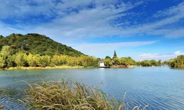 近期,蕭山城區,臨浦,義橋,戴村……多地照片被刷屏!