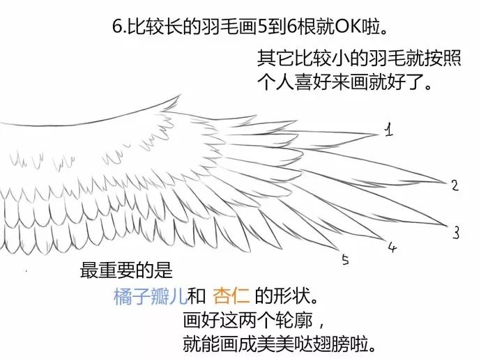 板繪·技巧|大天使的翅膀畫法