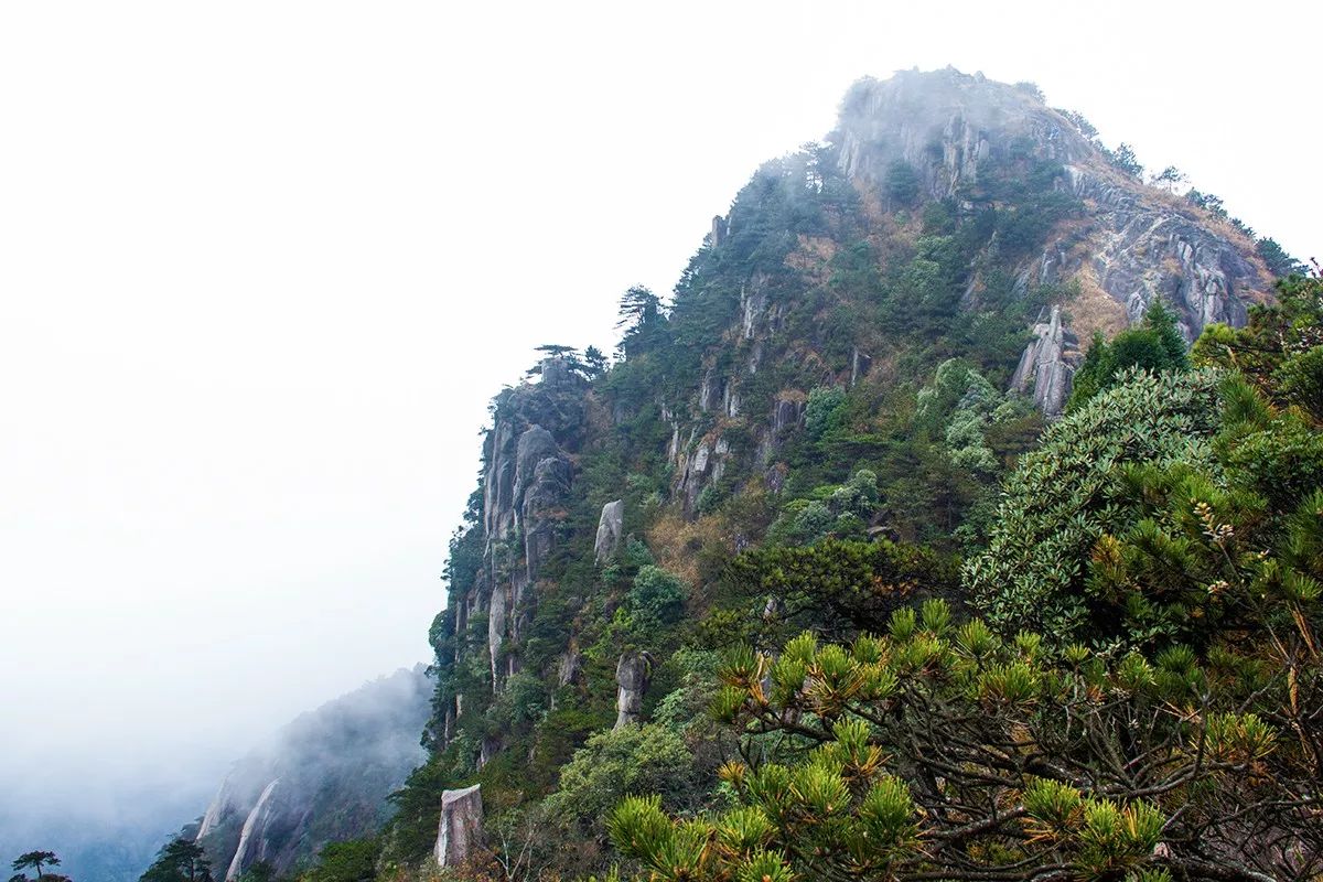 專家介紹說,公園位於羅霄山脈南北向核心構造帶南東端,與遂川-撫州