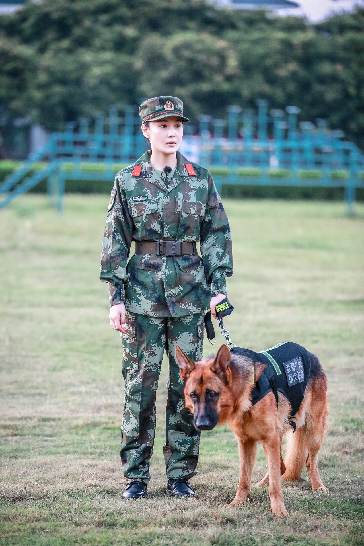 神犬奇兵综艺张馨予图片