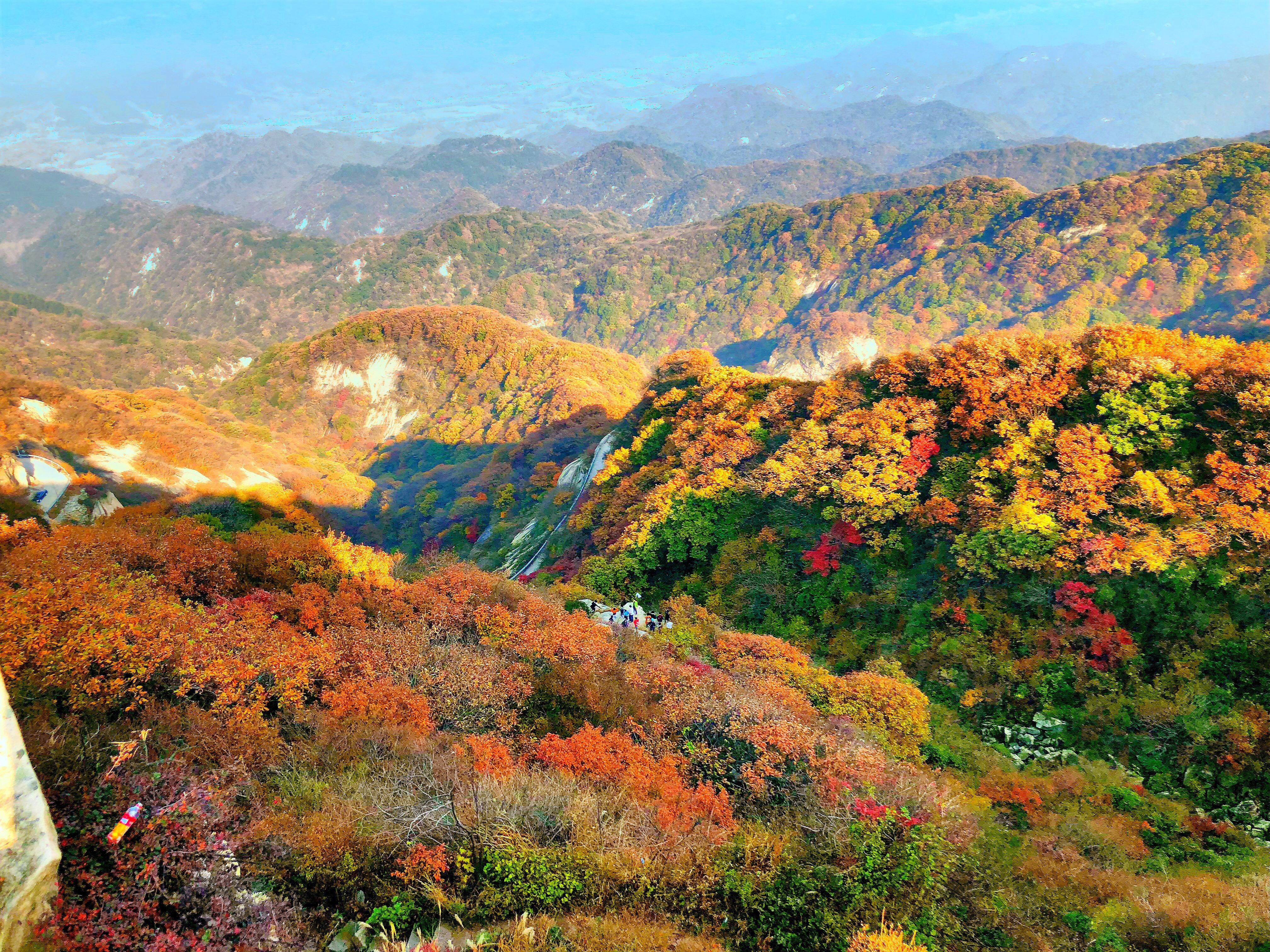 上饶桐柏山图片