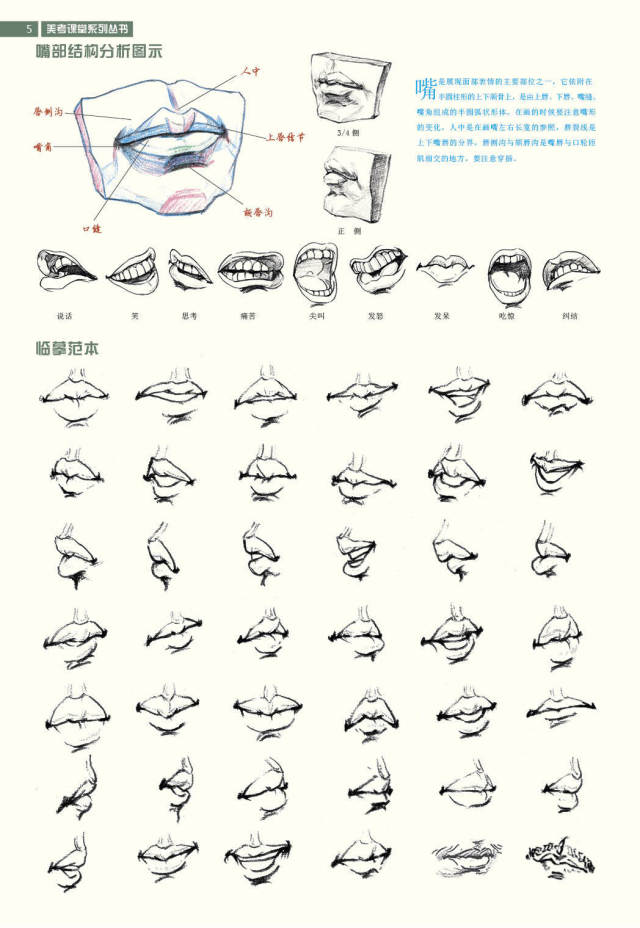 速写人物嘴巴画法步骤图片