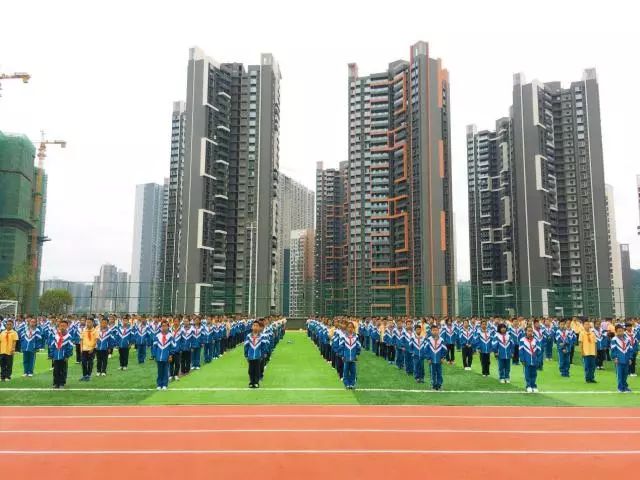 贵阳新建楼盘学校盘点中天未来方舟中小学篇