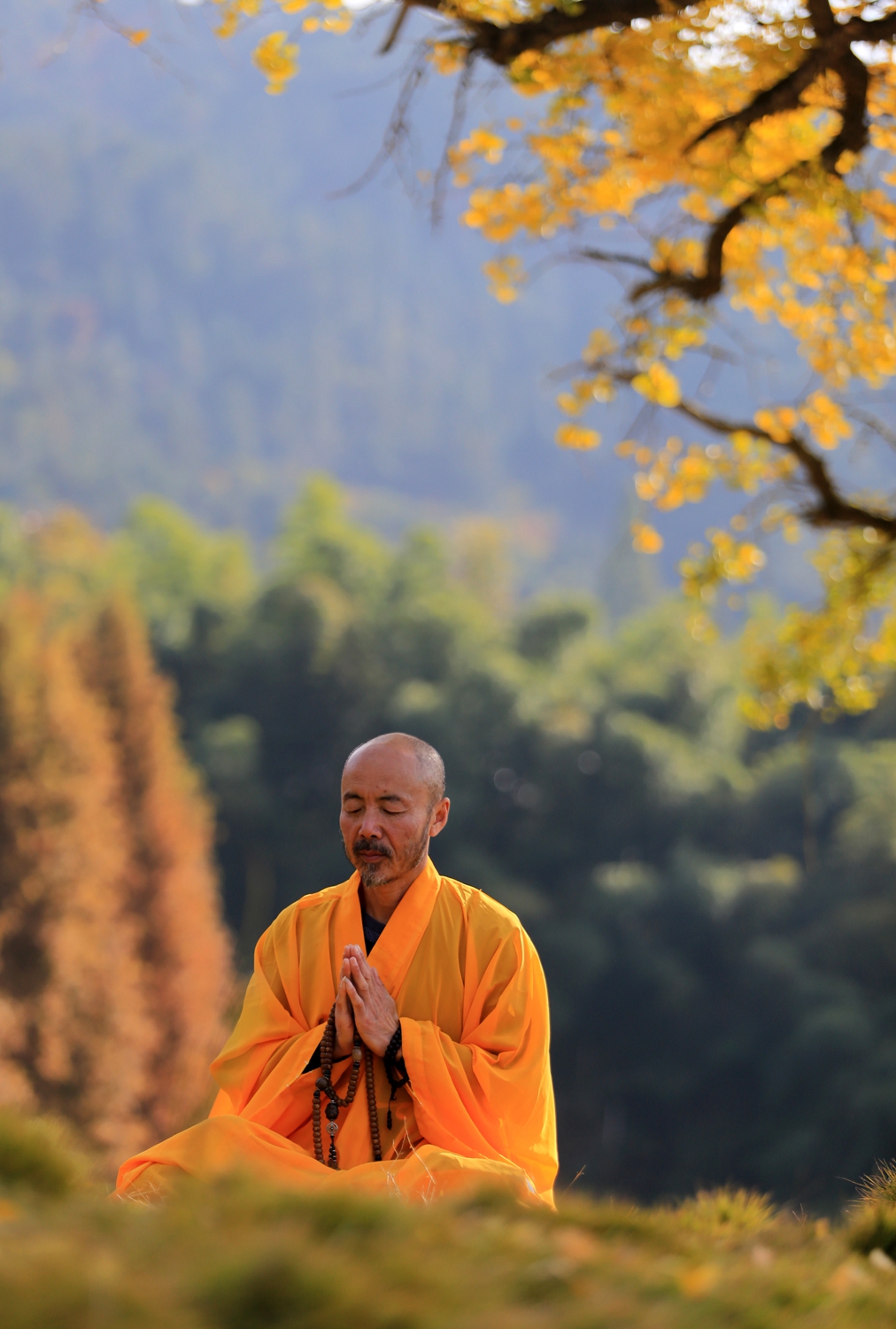 据悉,法眼寺由著名高僧无念禅师于明万历28年所建.