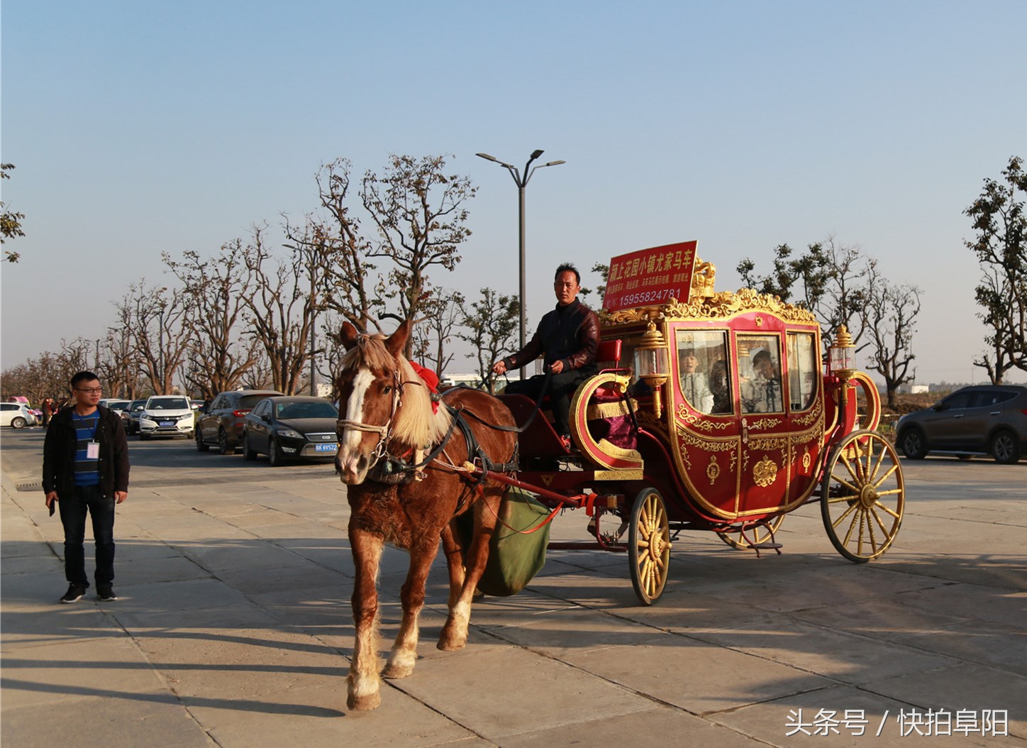 泥瓦匠轉行成車伕景區趕馬車拉客輕鬆掙錢