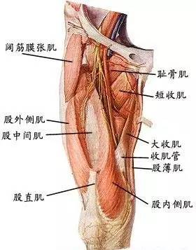 消除假跨,讓你的腿看起來長了15公分!