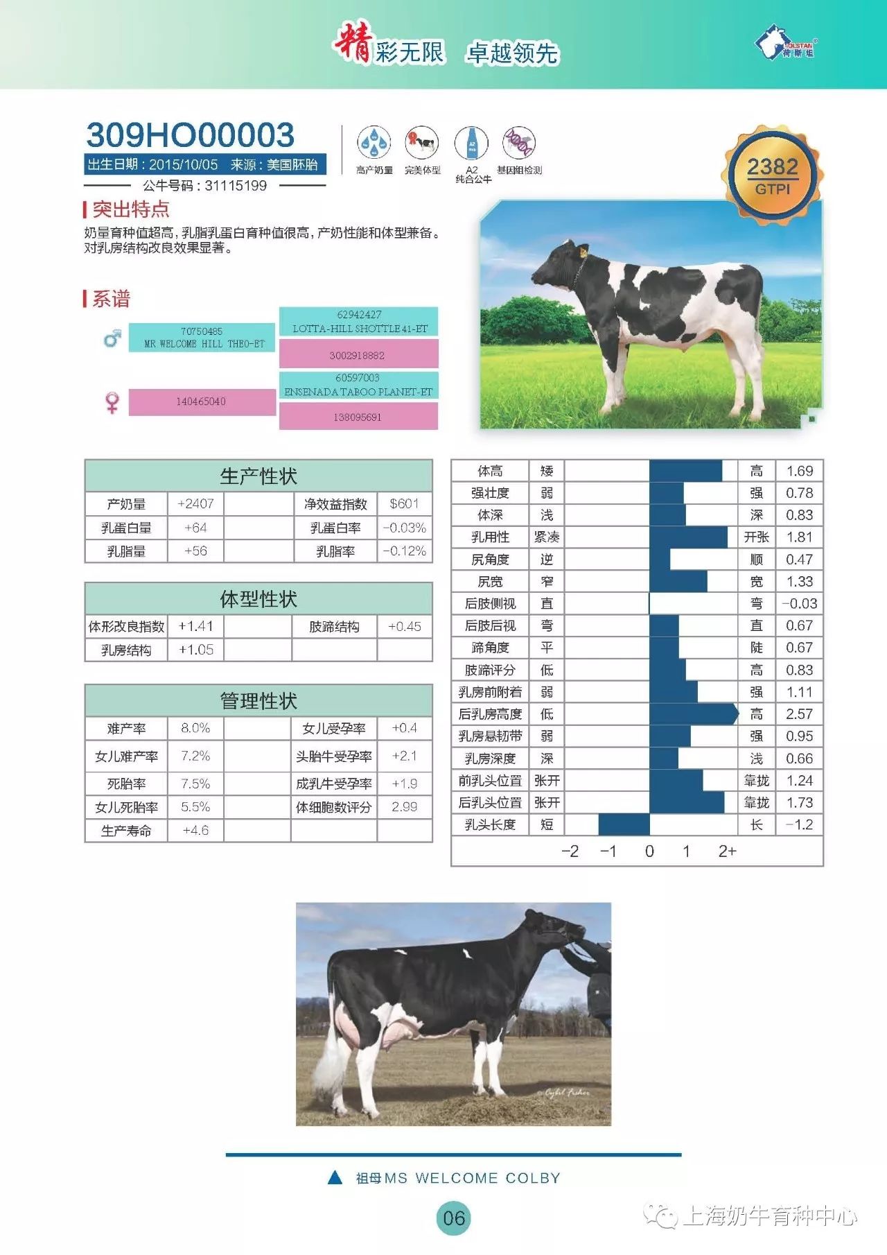 牛冻精报价表格图片