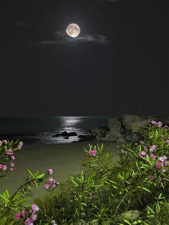 月夜想念图图片