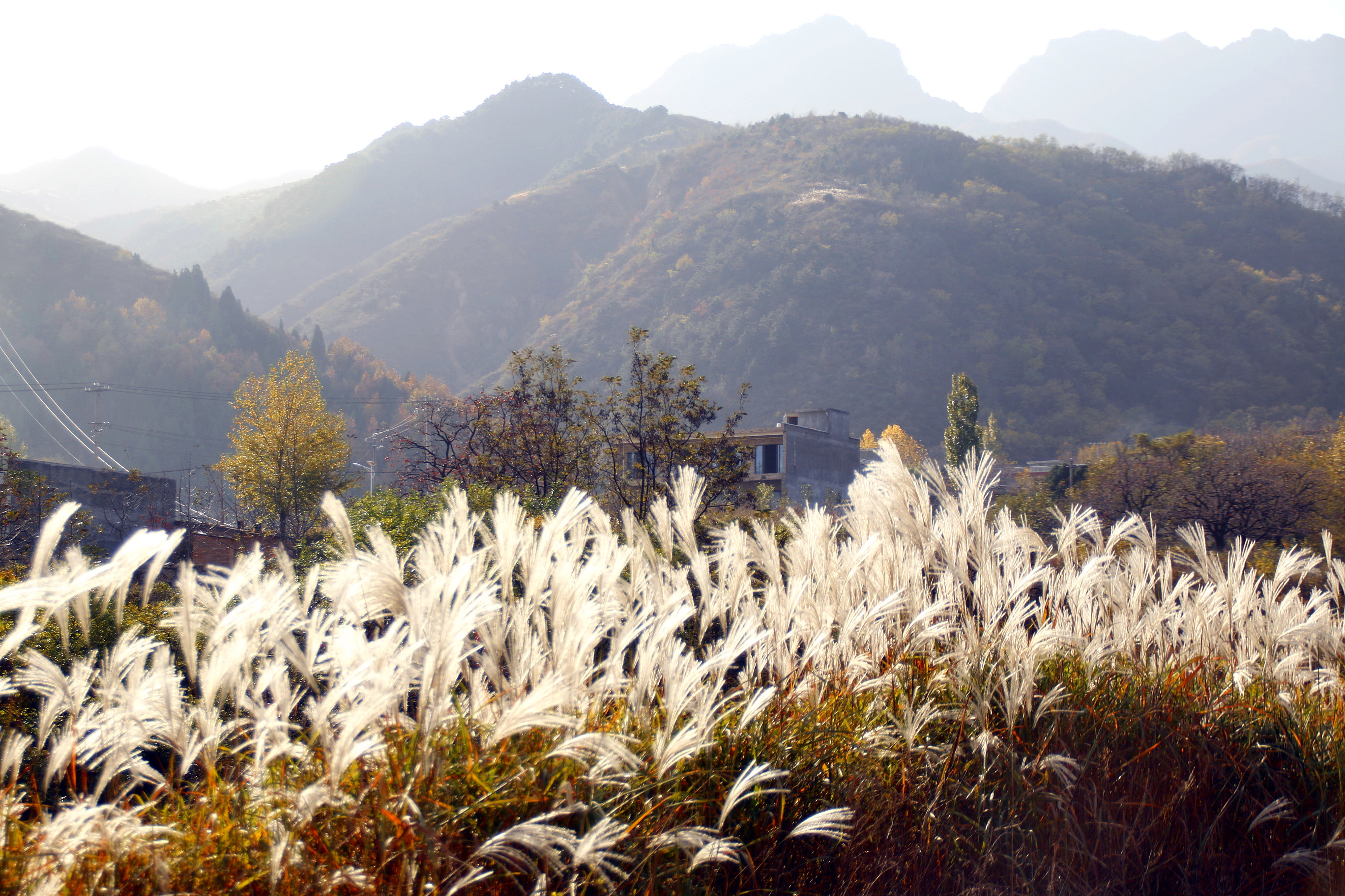 蓝田九间房旅游景点图片