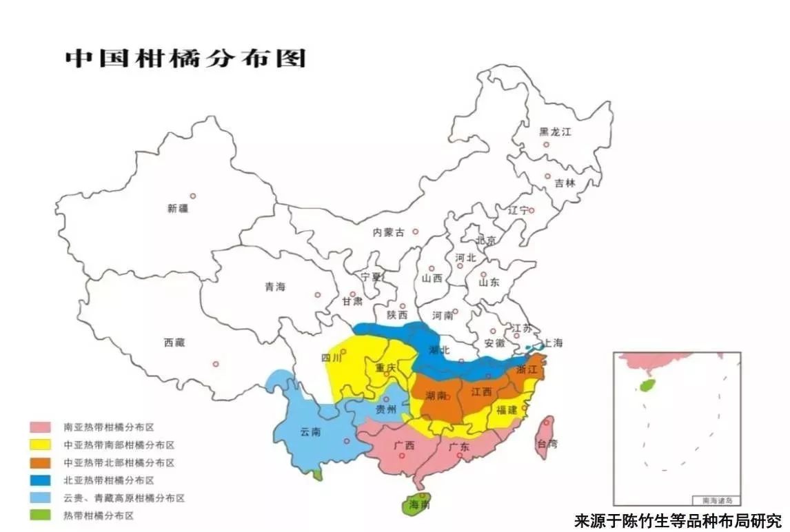 柑橘市场接近饱和新品种引领产业发展趋势