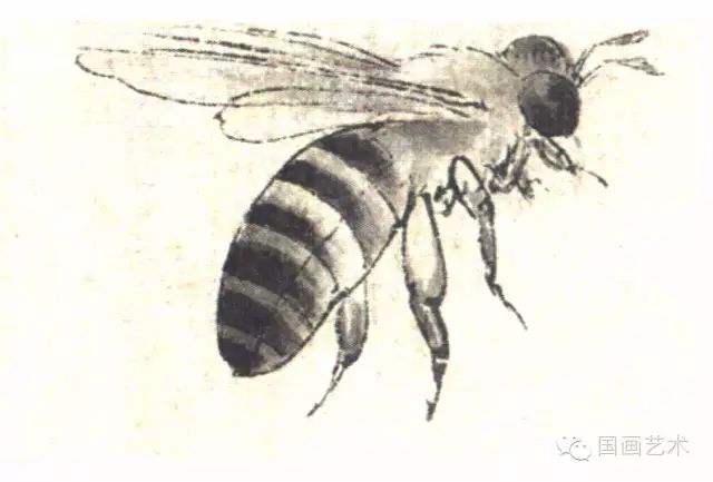 图文教程:工笔昆虫设色步骤之蜜蜂,胡蜂